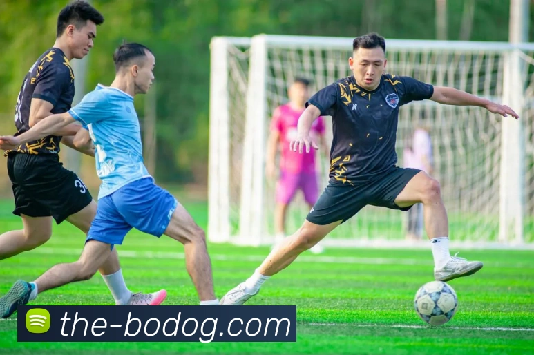 博狗娱乐APP 体育赛事宣传图